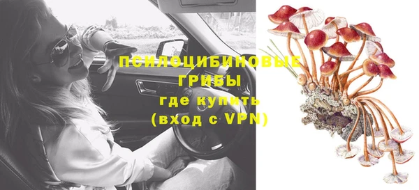 PSILOCYBIN Семилуки