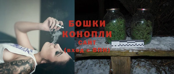 PSILOCYBIN Бугульма