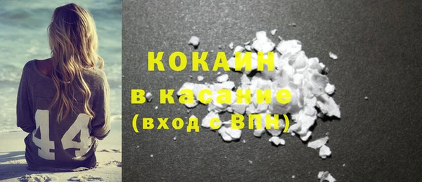 индика Семёнов
